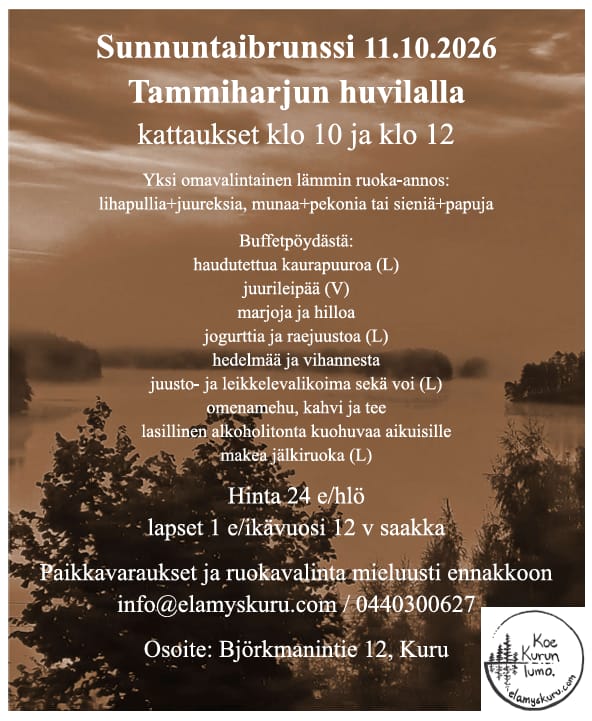 Tammiharju brunssi
